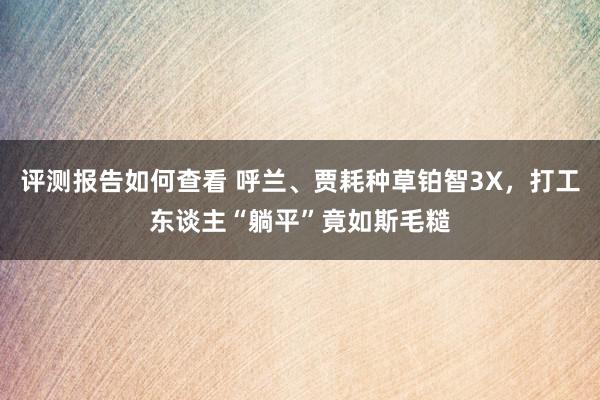 评测报告如何查看 呼兰、贾耗种草铂智3X，打工东谈主“躺平”竟如斯毛糙