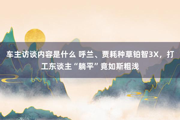 车主访谈内容是什么 呼兰、贾耗种草铂智3X，打工东谈主“躺平”竟如斯粗浅