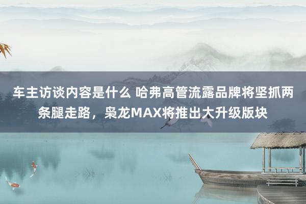 车主访谈内容是什么 哈弗高管流露品牌将坚抓两条腿走路，枭龙MAX将推出大升级版块